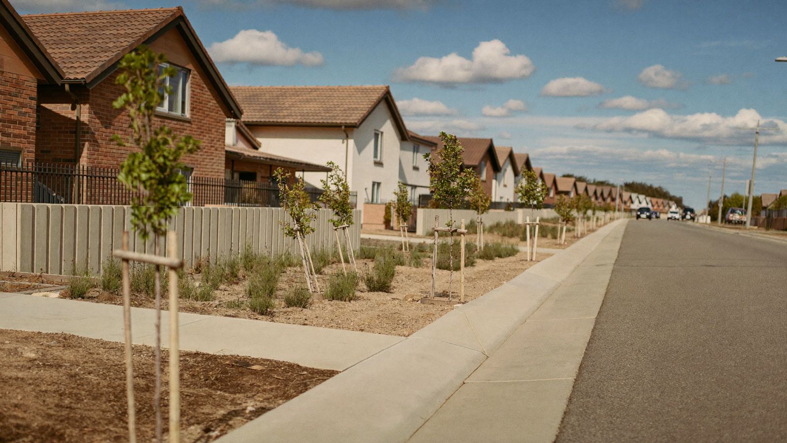Editorial photograph of a wide new concrete footpath in an Australian housing estate, staked young street trees and tiled-roof houses.