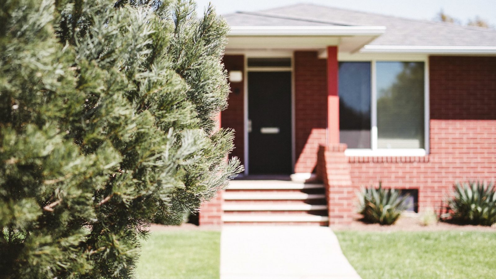 The front of a red-brick single-storey Sydney home, dark door at the top of three brick steps, concrete path across the lawn.